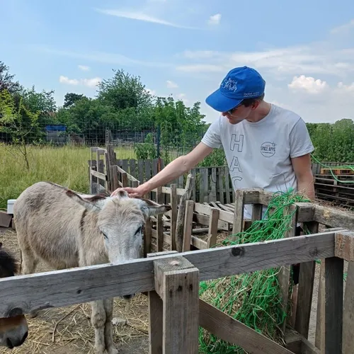 Un volontario accarezza un asino in una fattoria sociale