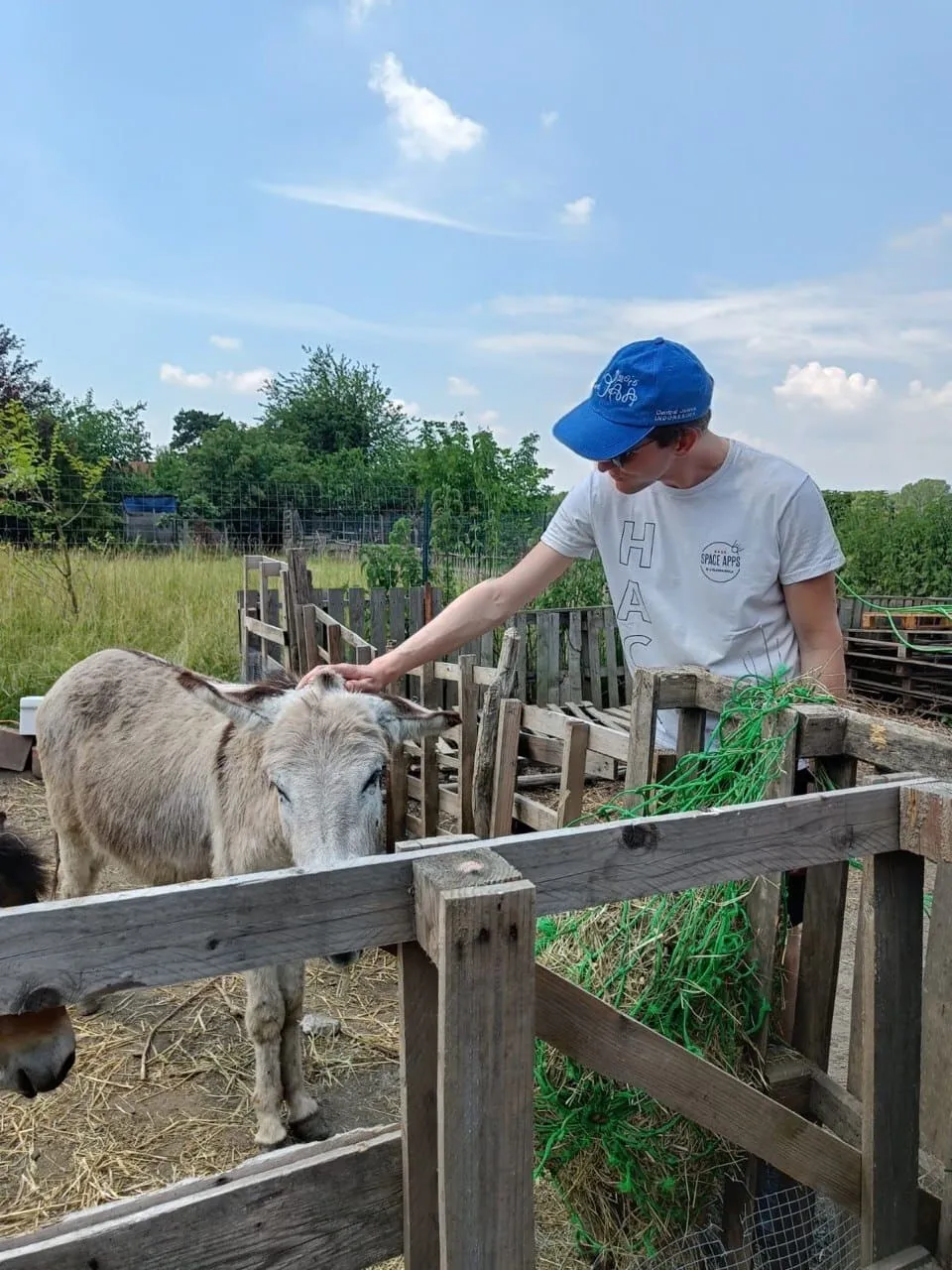 Un volontario accarezza un asino in una fattoria sociale