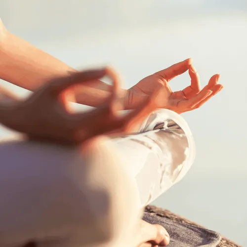 Mani in posizione di meditazione durante una sessione di yoga